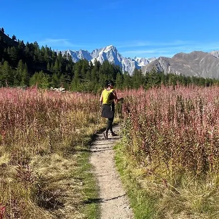 Vivre Vacances - Mont Blanc *